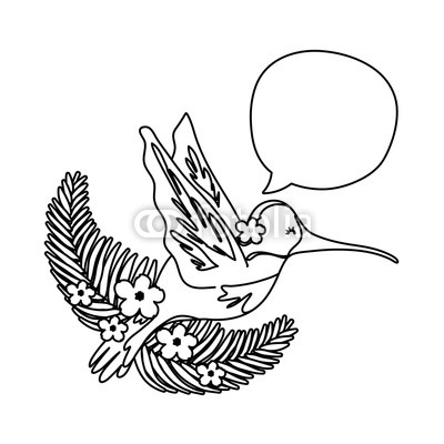 Hummingbird Line Drawing | Free download on ClipArtMag