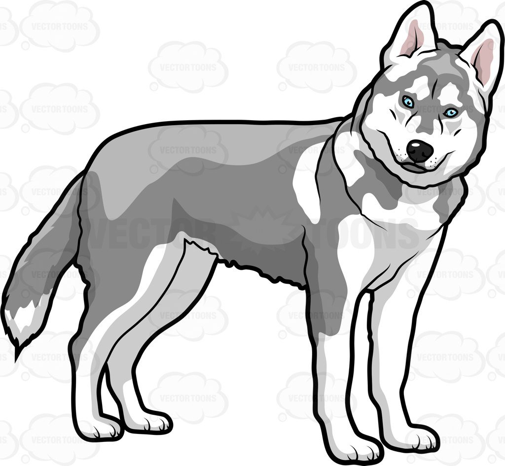 Collection of Husky clipart | Free download best Husky clipart on