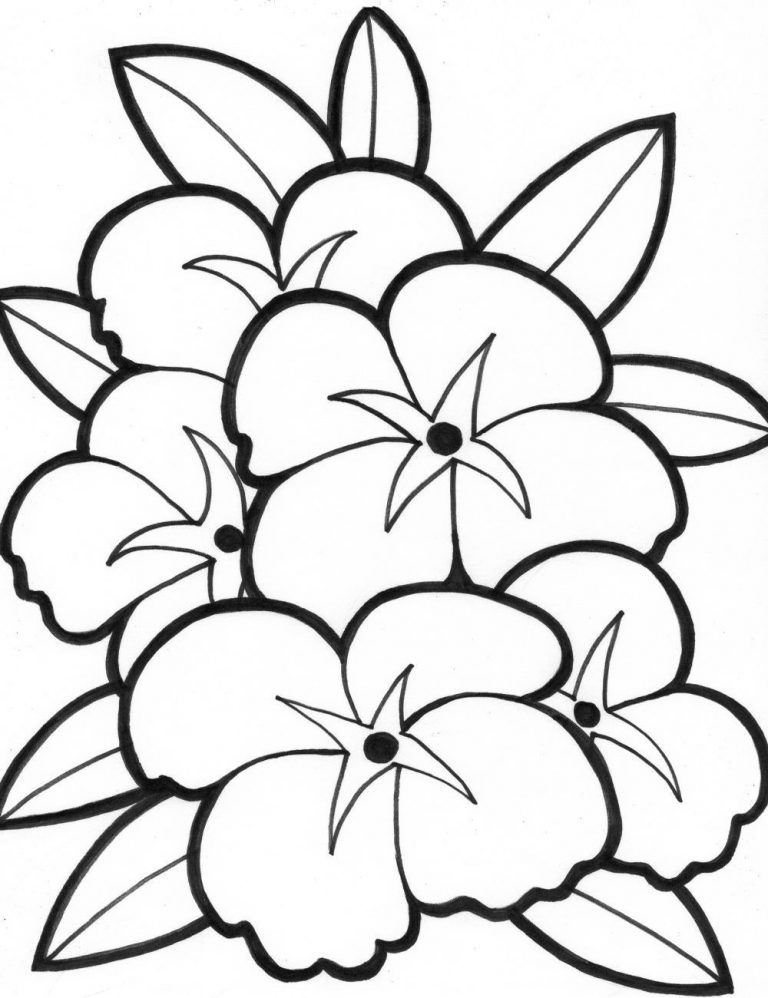 Hydrangea Line Drawing | Free download on ClipArtMag