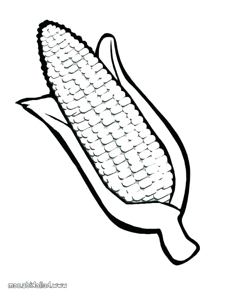 indian-corn-template-coloring-pages