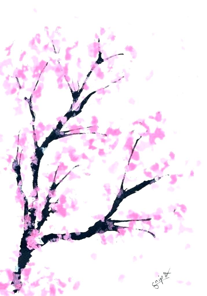 Japanese Cherry Blossom Drawing Black And White | Free download on