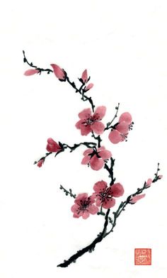 Japanese Cherry Blossom Tree Drawing | Free download on ClipArtMag