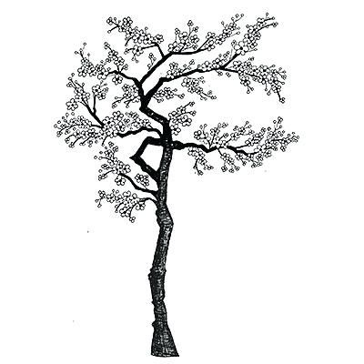 Japanese Cherry Tree Drawing | Free download on ClipArtMag