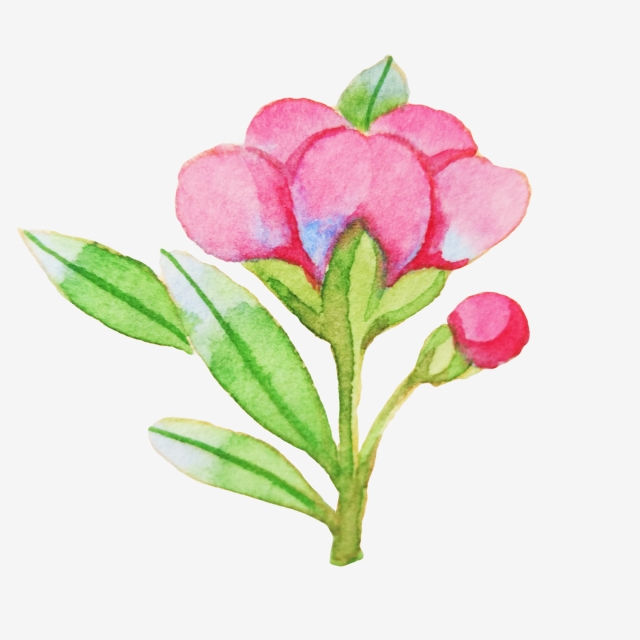 Japanese Flower Drawing | Free download on ClipArtMag