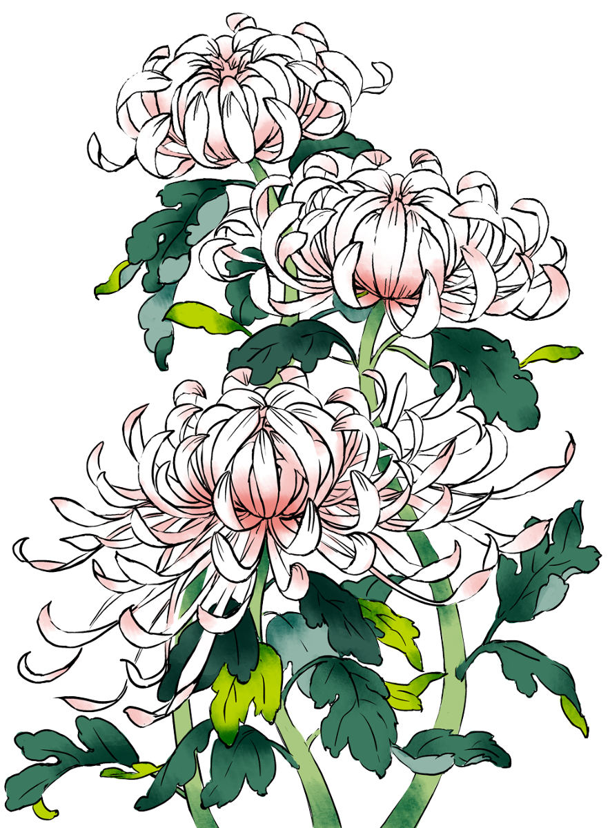 Japanese Flower Drawing | Free download on ClipArtMag