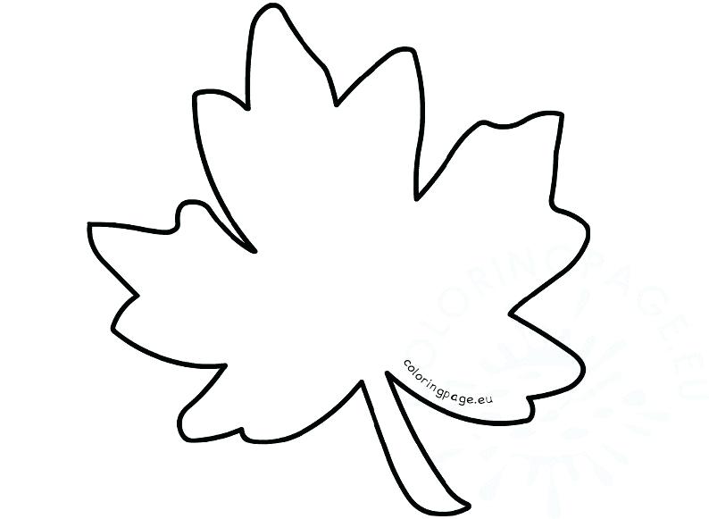 Japanese Maple Leaf Drawing | Free download on ClipArtMag