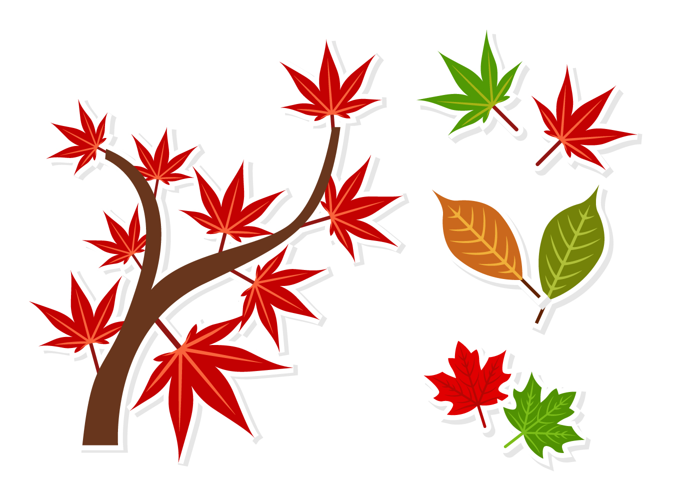 Japanese Maple Tree Drawing | Free download on ClipArtMag