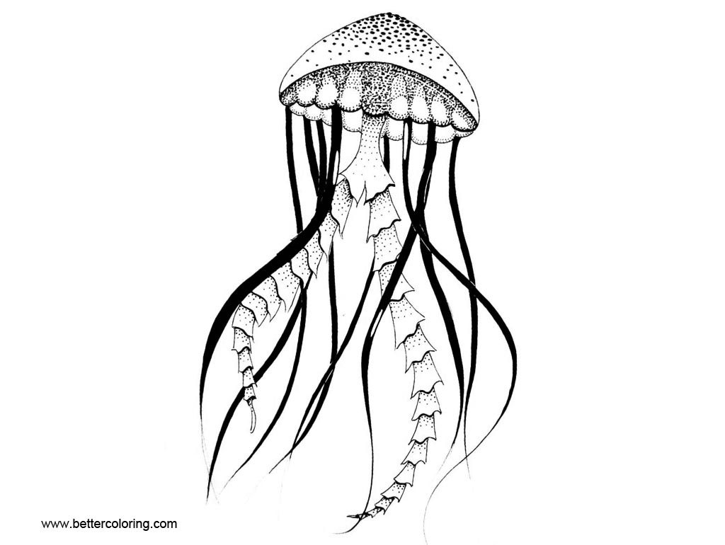 Jellyfish Drawing For Kids | Free download on ClipArtMag