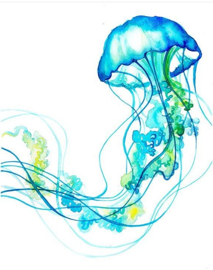 Jellyfish Tattoo Drawing | Free download on ClipArtMag