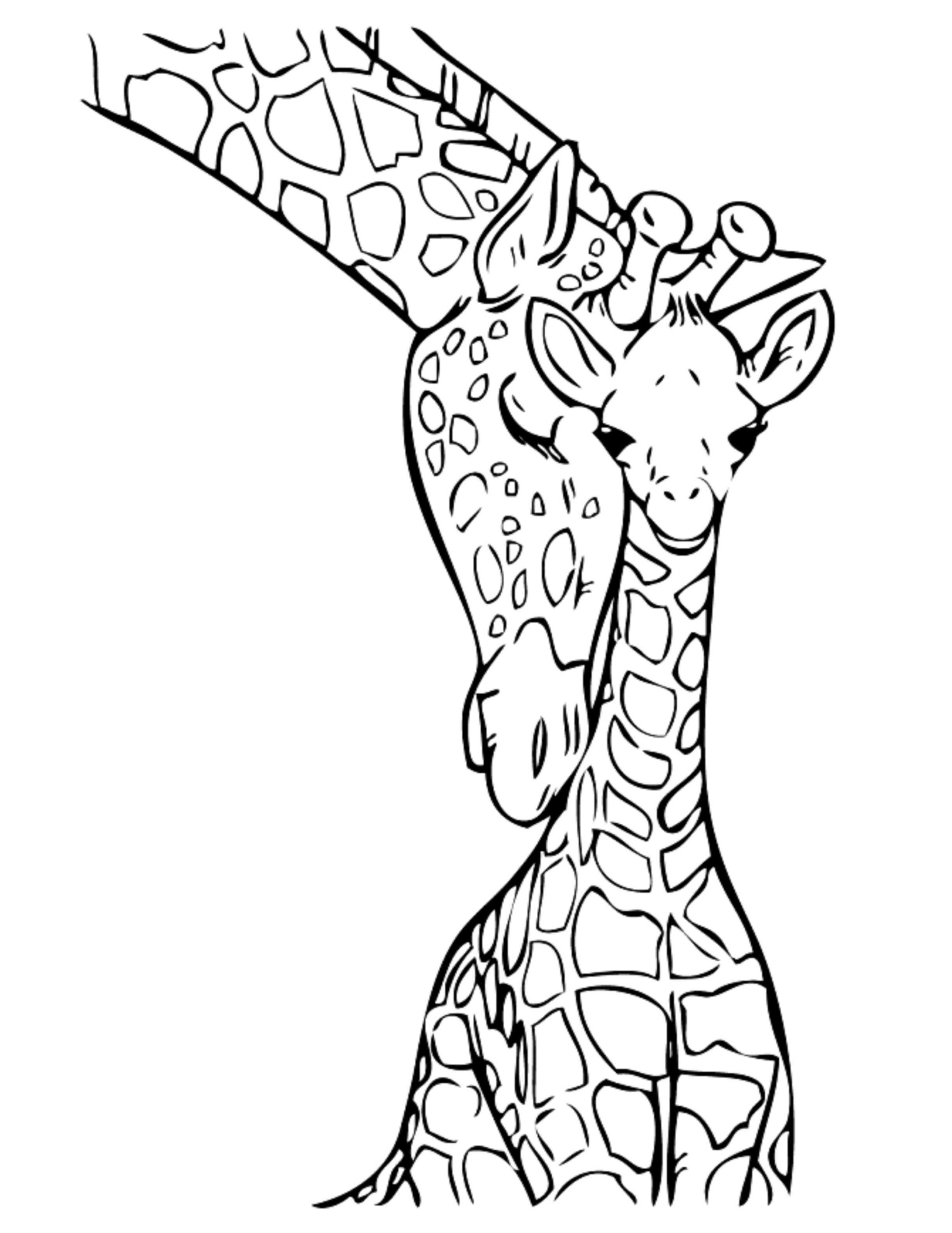 baby giraffe malvorlage
