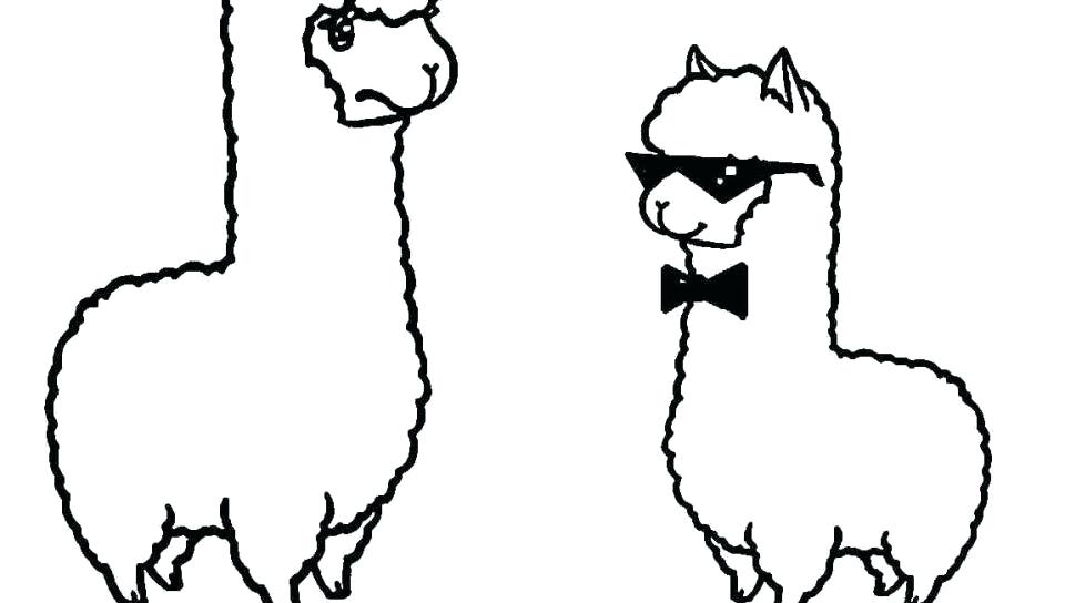 Kawaii Alpaca Drawing | Free download on ClipArtMag