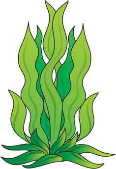 Kelp Drawing | Free download on ClipArtMag