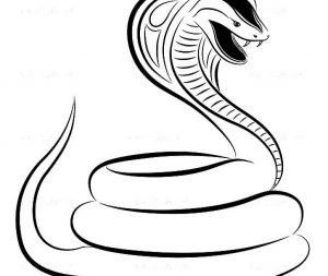 King Cobra Drawing | Free download on ClipArtMag