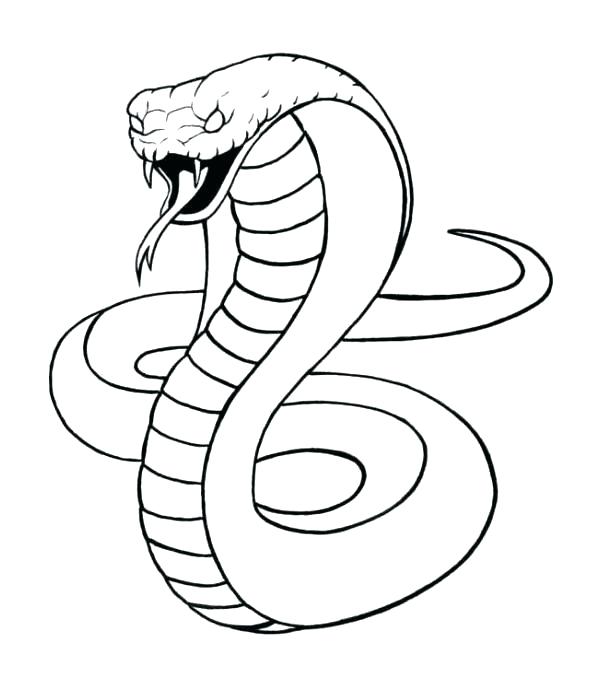 Top 103+ Images how to draw a king cobra snake Updated