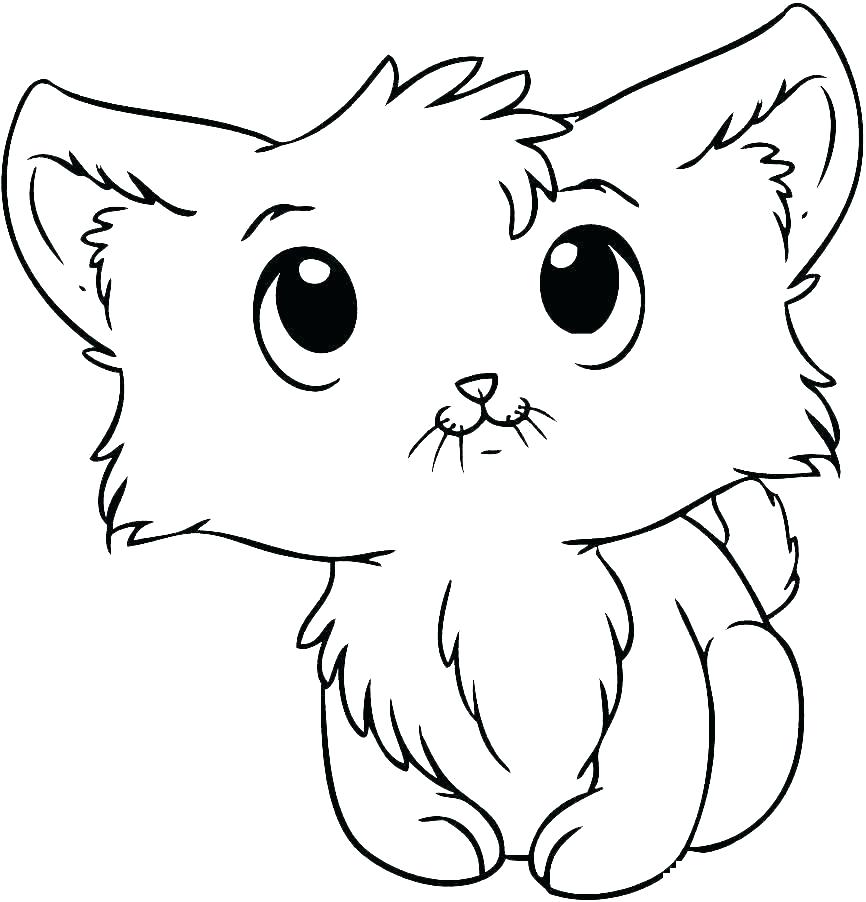 Kitten Face Drawing | Free download on ClipArtMag