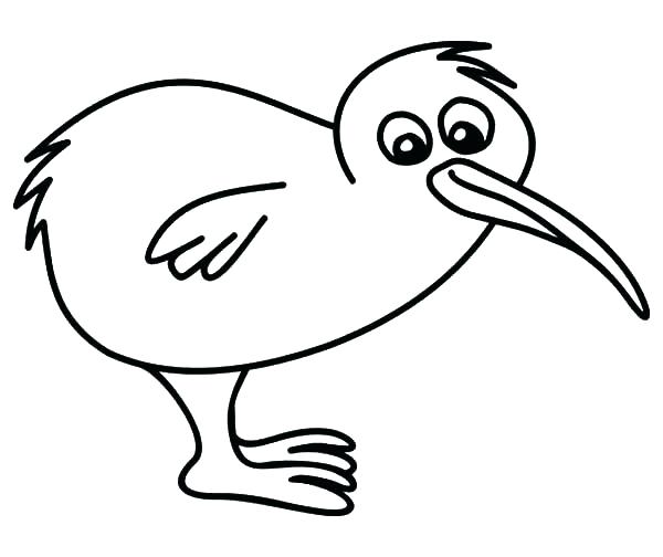 Kiwi Bird Drawing | Free download on ClipArtMag