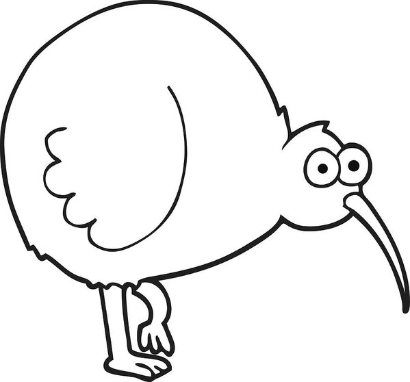 Kiwi Bird Drawing | Free download on ClipArtMag