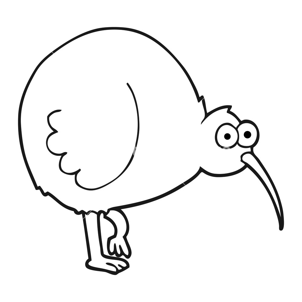 Kiwi Drawing | Free download on ClipArtMag