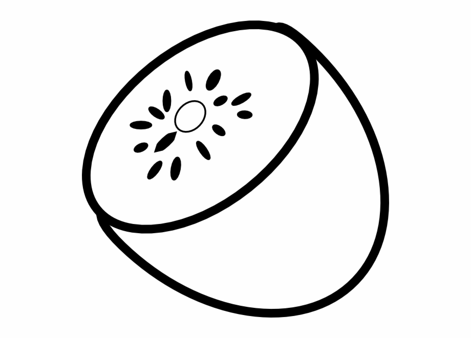 Kiwi Fruit Drawing | Free download on ClipArtMag