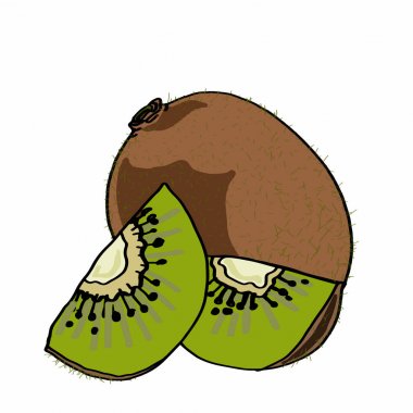 Kiwi Fruit Drawing | Free download on ClipArtMag