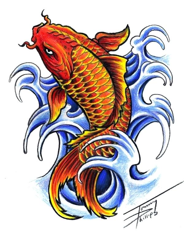 Drawing Skill Koi Fish Drawing With Color