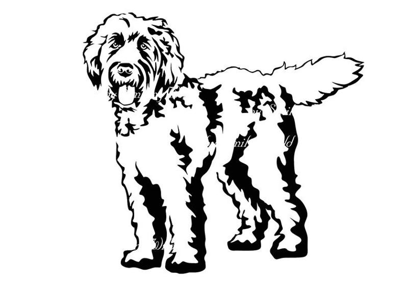 Collection of Labradoodle clipart | Free download best Labradoodle