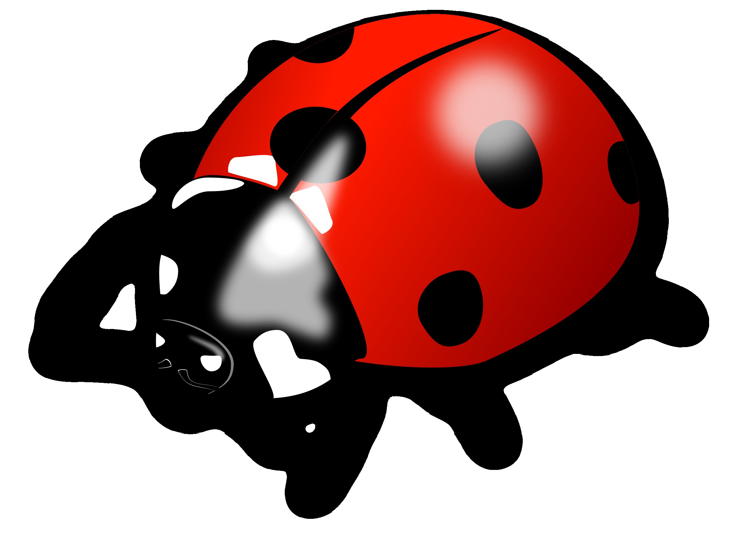 Ladybug Cartoon Drawing | Free download on ClipArtMag