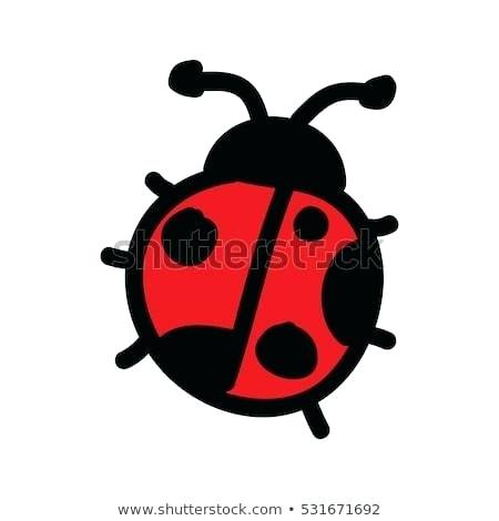 Collection of Ladybug clipart | Free download best Ladybug clipart on