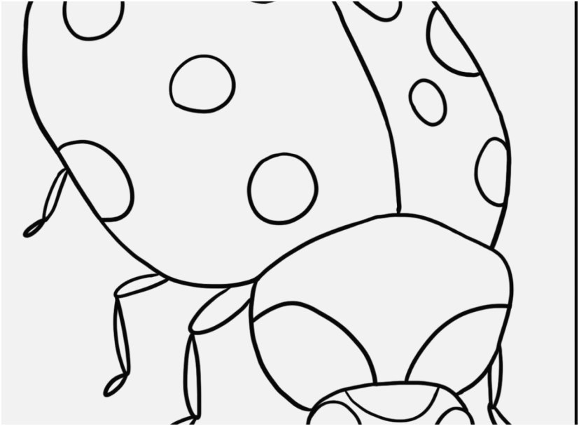 Ladybug Line Drawing Free download on ClipArtMag