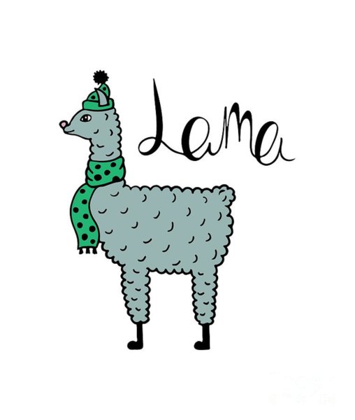 Lama Drawing | Free download on ClipArtMag