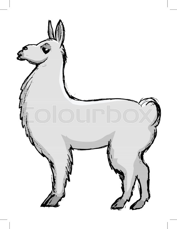 Lama Drawing | Free download on ClipArtMag