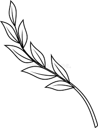 Laurel Leaf Drawing | Free download on ClipArtMag