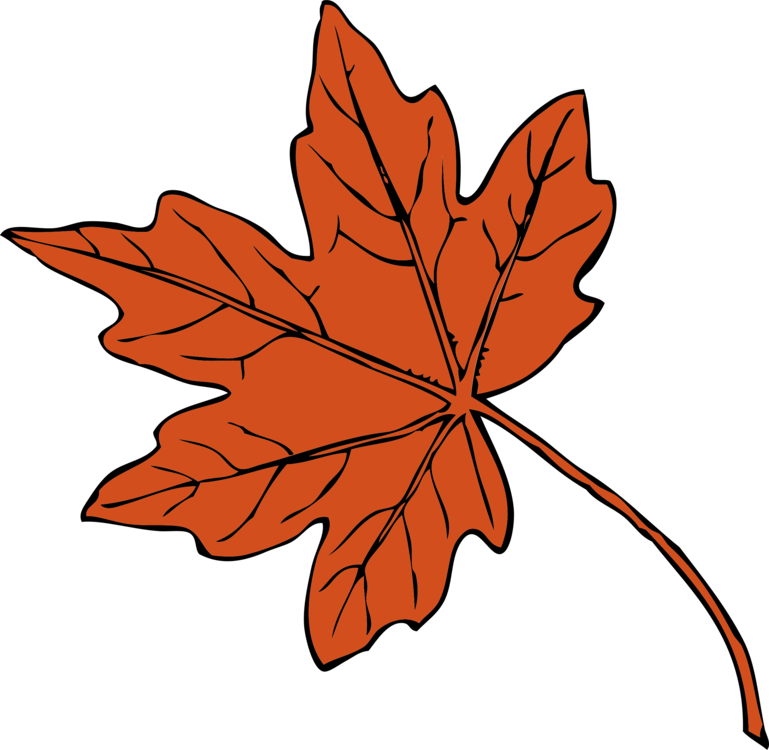 Leaf Drawing Images | Free download on ClipArtMag