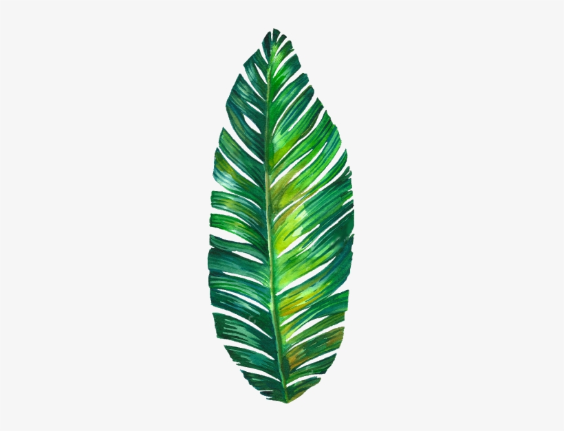 Leaf Drawing Tumblr | Free download on ClipArtMag