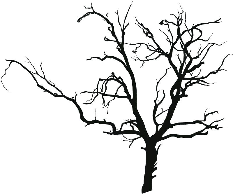 Leafless Tree Drawing Free Download On ClipArtMag