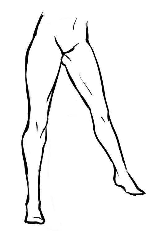 Leg Anatomy Drawing | Free download on ClipArtMag