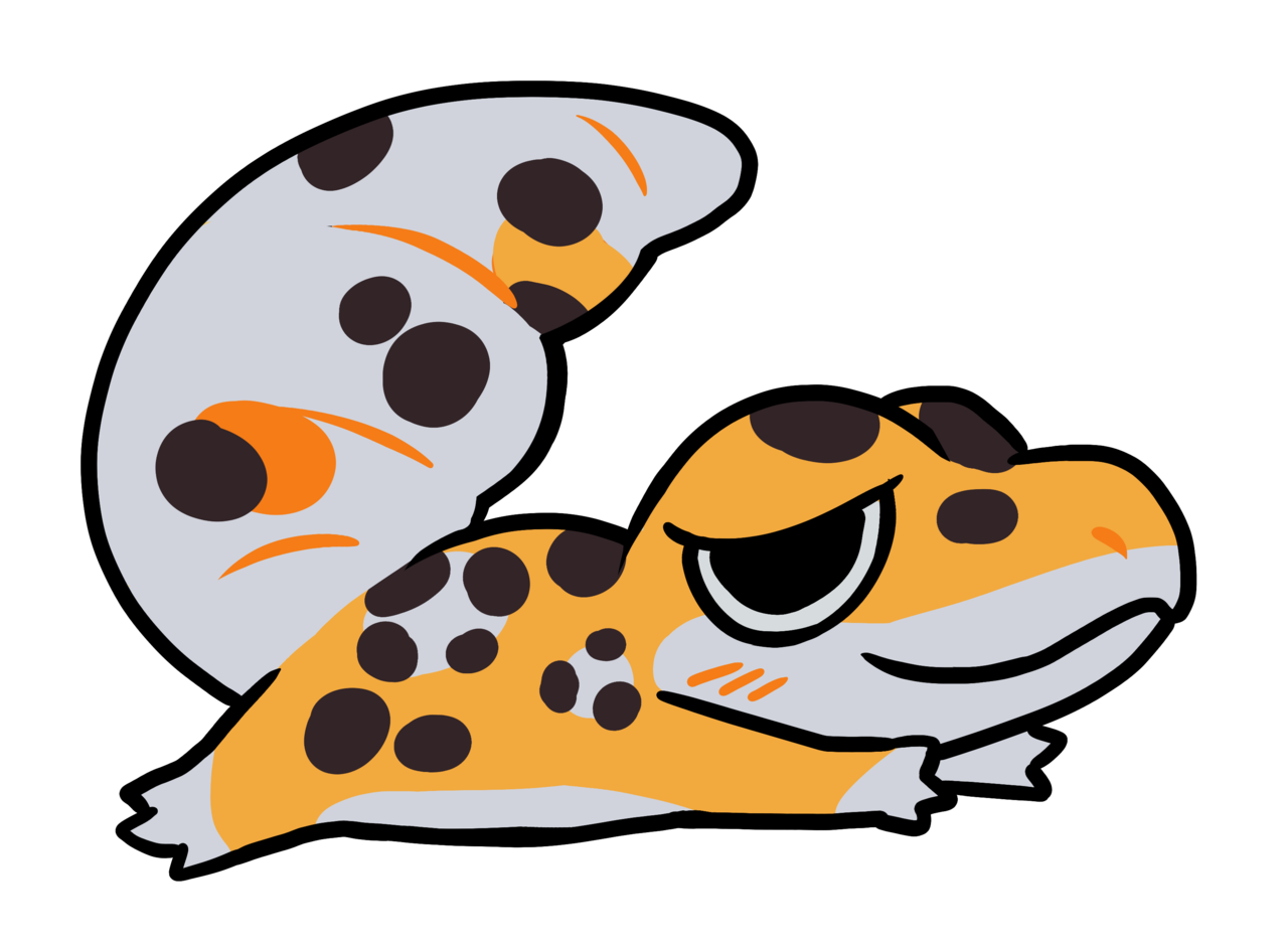 kawaii cartoon cute leopard gecko drawing Leopard gecko cartoon pictures