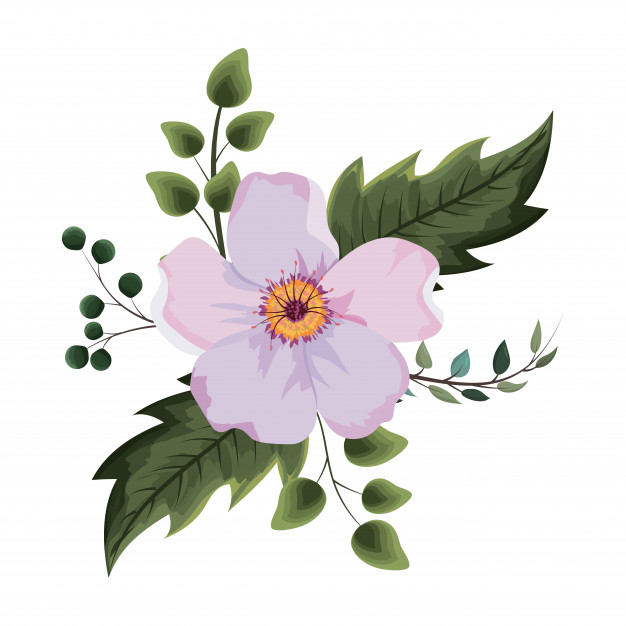 Lilac Flower Drawing | Free download on ClipArtMag