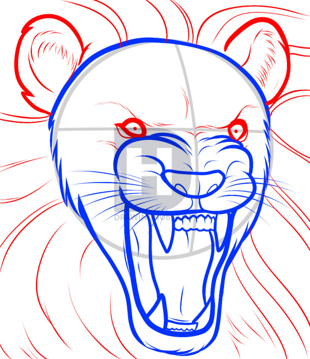 Lion Drawing Easy Step By Step | Free download on ClipArtMag