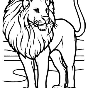 Lion Outline Drawing | Free download on ClipArtMag