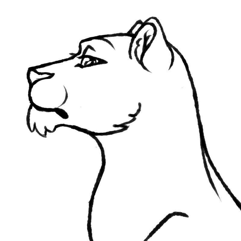 Lioness Head Drawing | Free download on ClipArtMag