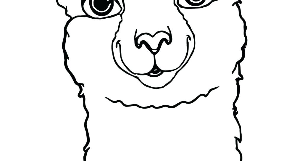 Collection of Llama clipart | Free download best Llama clipart on