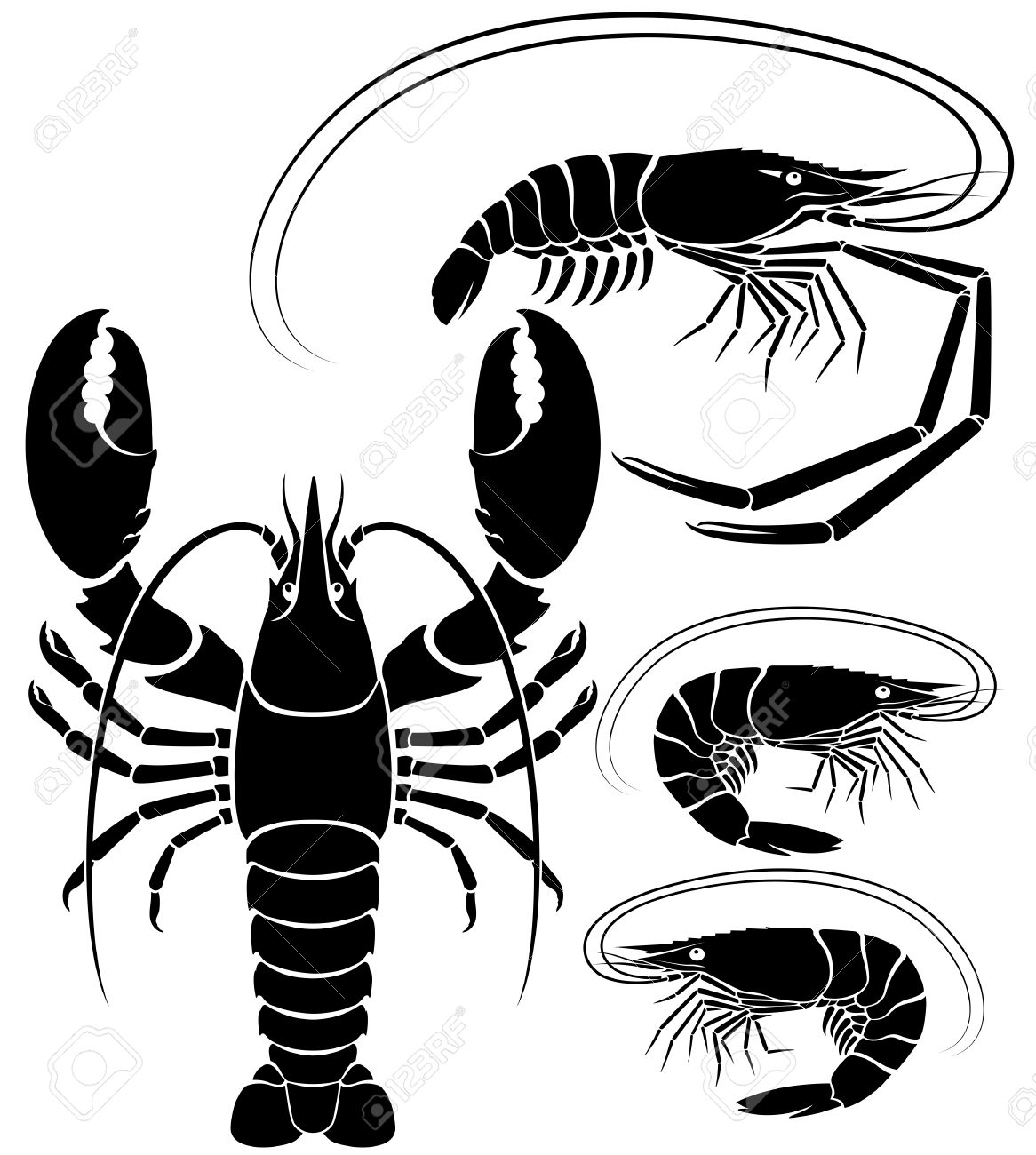 Lobster Line Drawing Free download on ClipArtMag