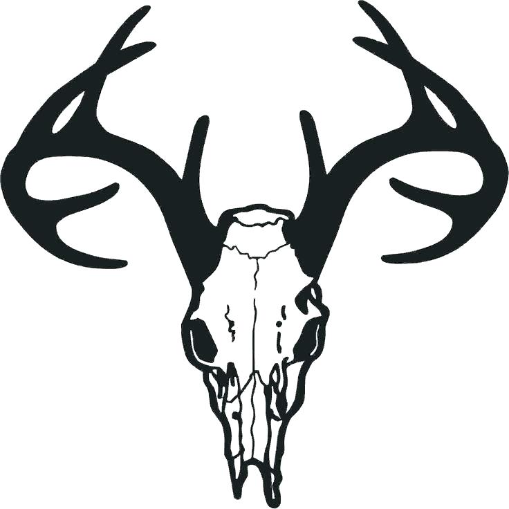 Longhorn Skull Drawing | Free download on ClipArtMag