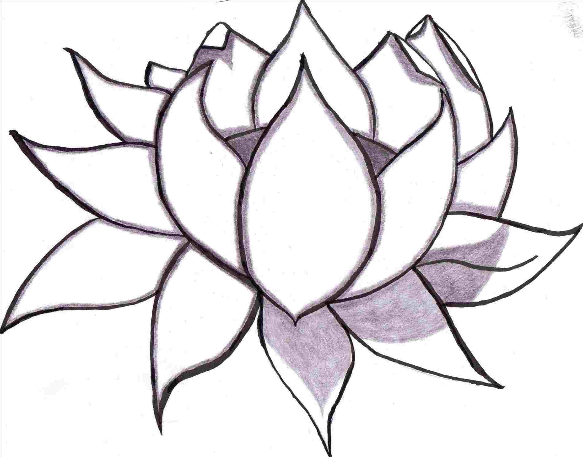  Easy To Draw Sketches Of Lotus Flower for Beginner