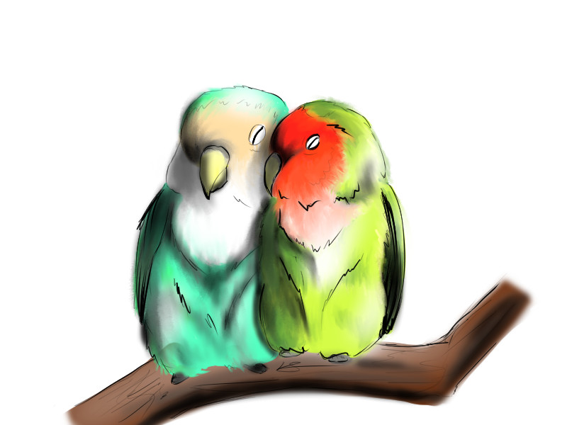 Love Birds Drawing | Free download on ClipArtMag