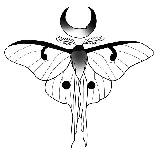 Luna Moth Drawing | Free download on ClipArtMag