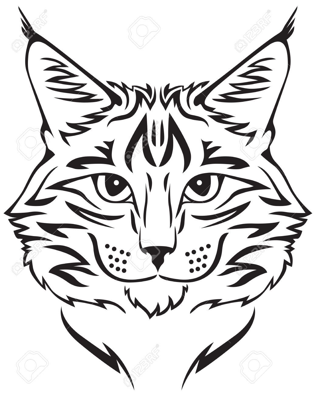 Lynx Drawing | Free download on ClipArtMag