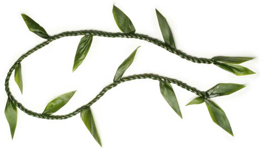 Maile Lei Drawing | Free download on ClipArtMag