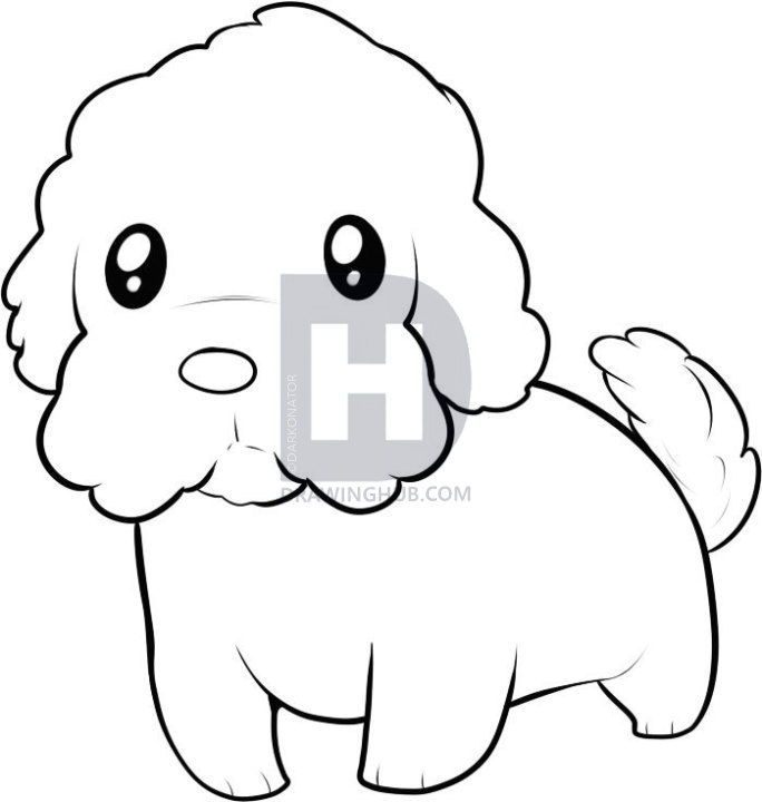 Maltese Dog Drawing Free download on ClipArtMag